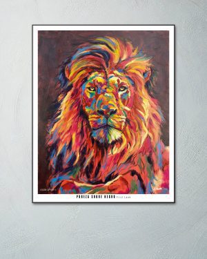 PUREZA SOBRE NEGRO - FIRST LOOK